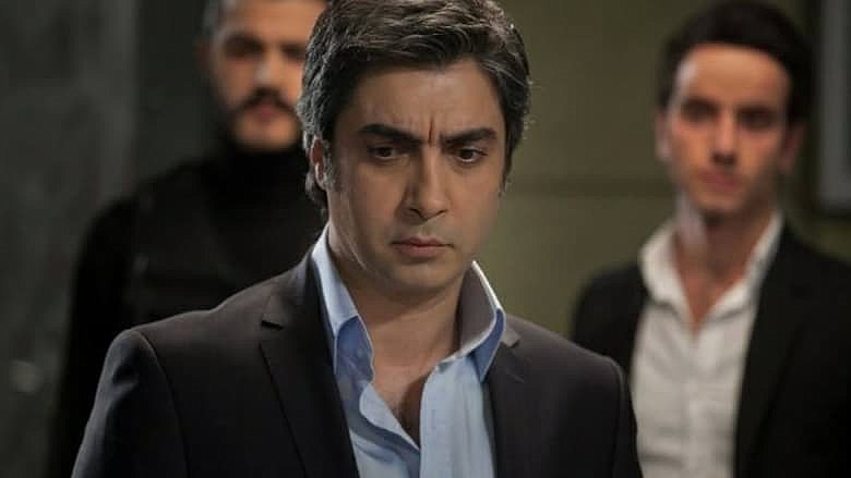 Kurtlar Vadisi poster