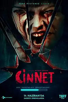 Cinnet