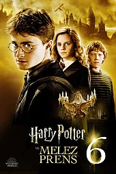 Harry Potter 6 izle