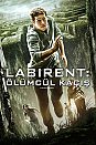 Labirent Ölümcül Kaçış izle