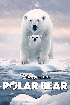 Polar Bear izle