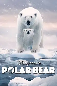 Polar Bear izle