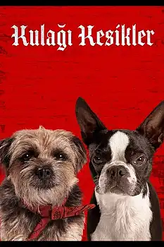 Strays izle