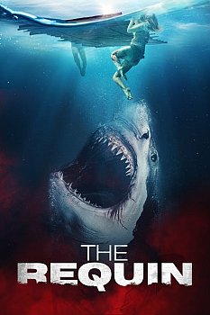 The Requin izle